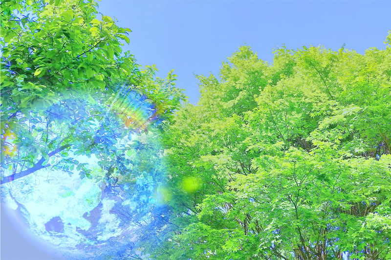 環境保全への配慮