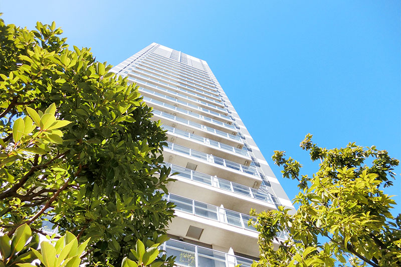 主に賃貸マンションのお庭の手入れがメイン。